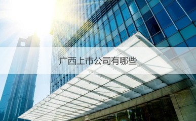 廣西新進(jìn)環(huán)?？萍寄蠈幏植考吧鲜泄九c道路普通貨運(yùn)概況
